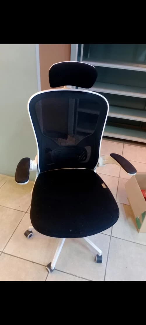 Sillas de Oficina 